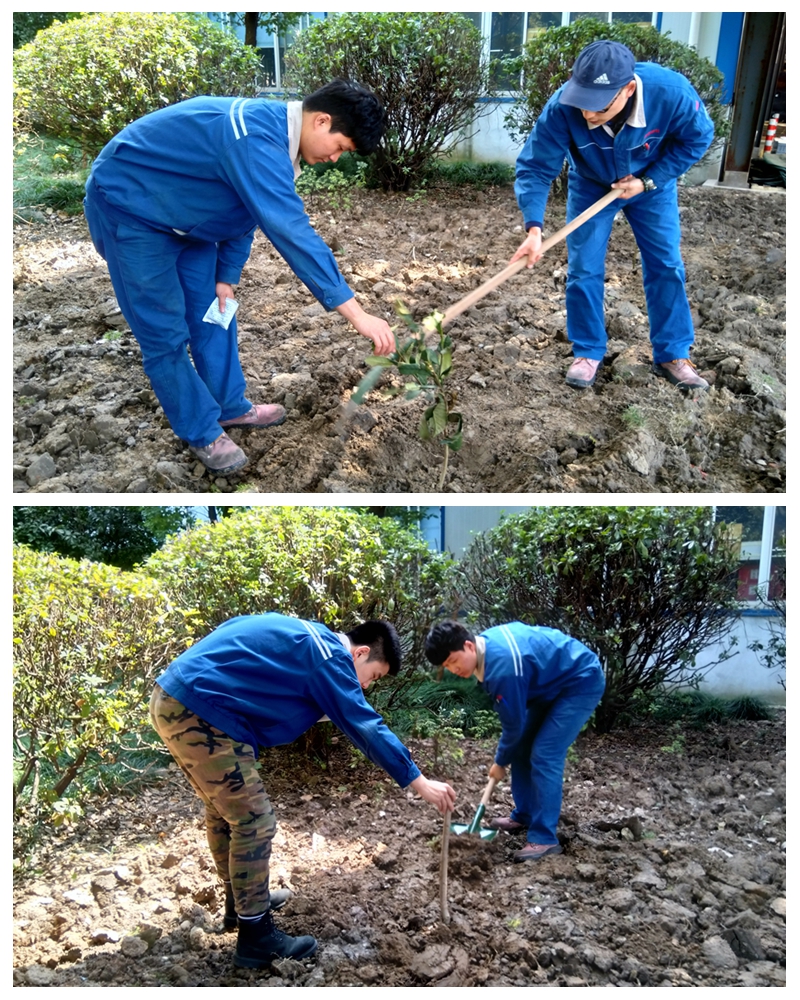 學習雷鋒好榜樣 尊龍凱時青年在行動